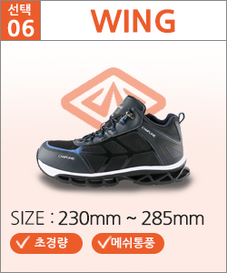 CP-WING